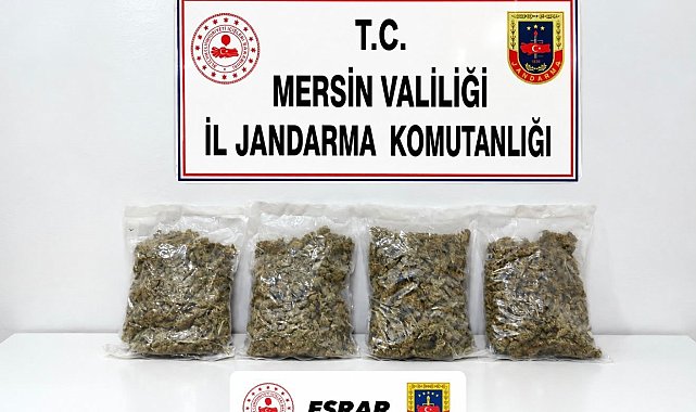 Mersin'de uyuşturucu operasyonu: 2 gözaltı