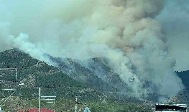 Mersin'deki orman yangını sürüyor