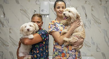 Mersin'de patili dostlar için anlamlı iş birliği