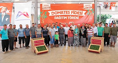 Mersin'de üreticiye domates fidesi desteği
