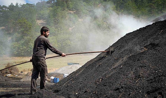 Meşe odunundan mangal kömürüne: 15 günlük zorlu mesai