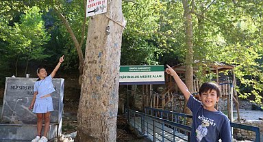 Mesire alanındaki çöp sorununa 'Çöp atan eşektir' yazılı tabelayla tepki