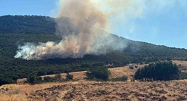 Mihalıççık'ta orman yangınına müdahale sürüyor