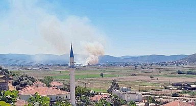 Milas Yaşyer'de ot ve sazlık yangını