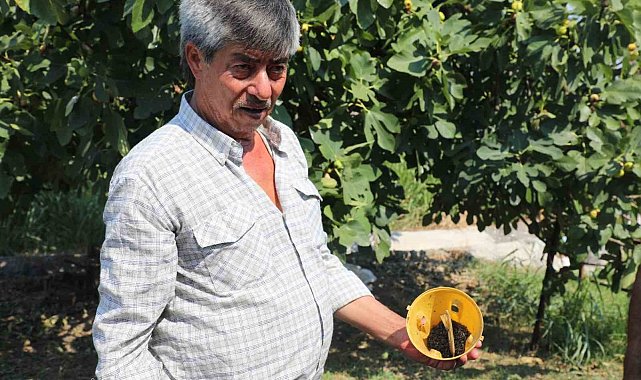 Muğla'da üreticinin emeğine çevre dostu koruma