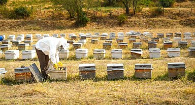 Muş'ta bal hasadı tamamlandı: 700 ton bal elde edildi