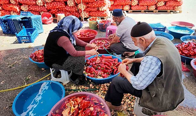 Niğde'de kışlık salça mesaisi başladı