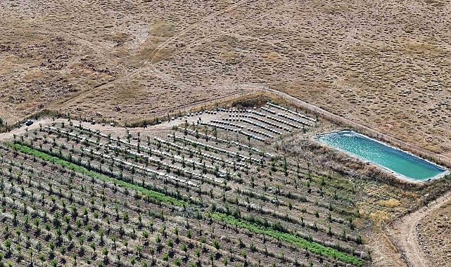 Niğde'nin bin 800 rakımlı Tumlu Yaylası'nda Geven Balı bereketi
