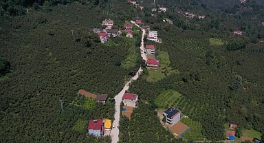 Ordu Aybastı'da ulaşım konforu artıyor