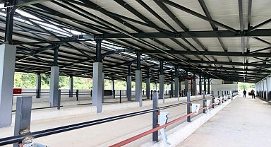 Ordu Fatsa'da Damızlık Düve Yetiştirme Merkezi tamamlandı