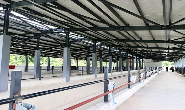 Ordu Fatsa'da Damızlık Düve Yetiştirme Merkezi tamamlandı