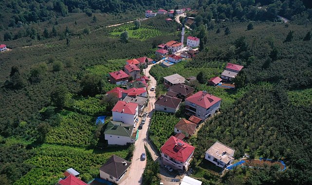 Ordu'da beton yol çalışmaları sürüyor