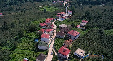 Ordu'da beton yol çalışmaları sürüyor
