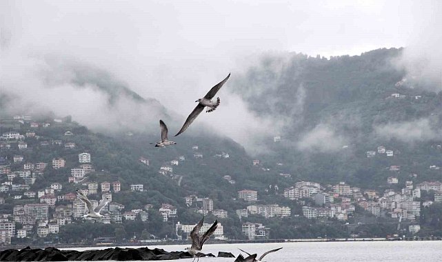 Ordu'da görsel şölen