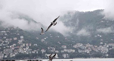 Ordu'da görsel şölen