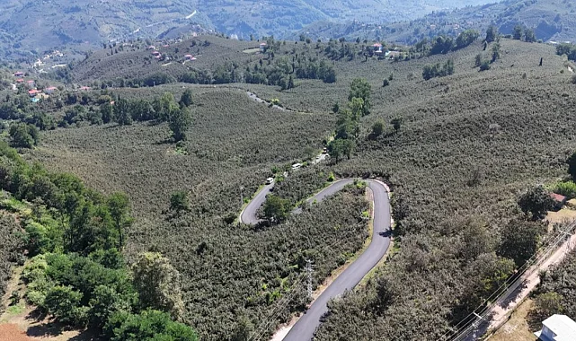 Ordu'da Ulubey Şeyhler'de yol sevinci