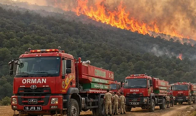 Ormanları yakanlar adaletten kaçamıyor! 27 ilde 70 şüpheliden 16'sı tutuklandı