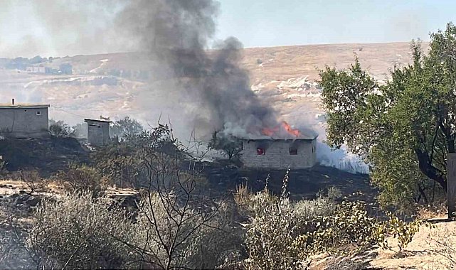 Otluk alanda başlayan yangın bağ evlerine sıçradı: 7 bağ evi kullanılamaz hale geldi