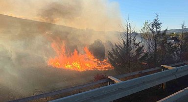 Otoyol kenarında başlayan yangın ağaçlara sıçradı