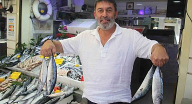 Palamut bolluğu tezgahlara yansıdı: 600 gram balık 100 lira