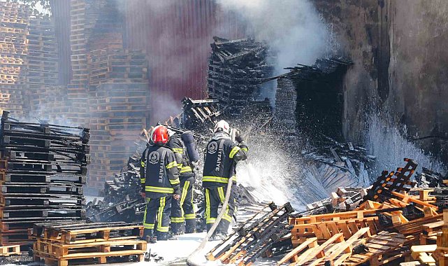 Palet fabrikasında korkutan yangın