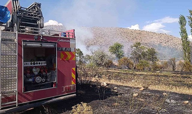 Park halindeki minibüste başlayan yangın araziye sıçradı