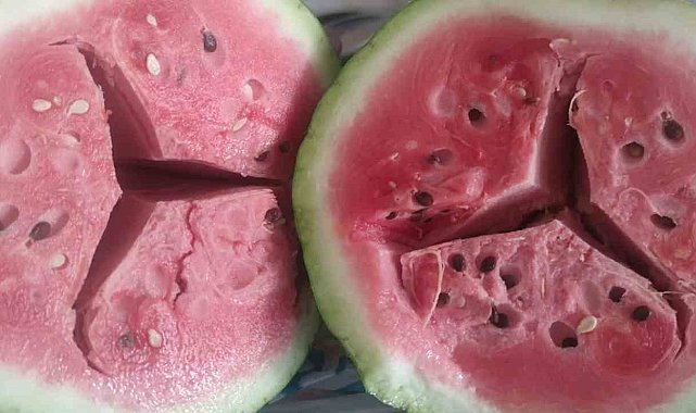 Pasinler ovasının kalbi boş karpuzları
