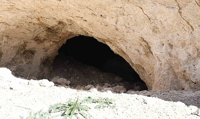 Pekmezin sırrı bu toprakta: Yozgat'tan Antalya'ya, Almanya'ya kadar gidiyor