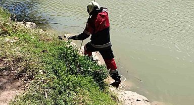 Reyhanlı'da göl kenarında görülen yılan yakalandı
