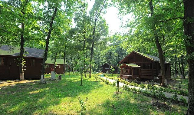 Sakarya İl Ormanı Bungalov Evleri misafirlerini bekliyor