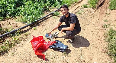 Salçalık biberi önce hırsızlar hasat etti