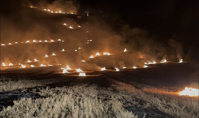 Samsun'da anız yangını ormanlık alana sıçramadan söndürüldü