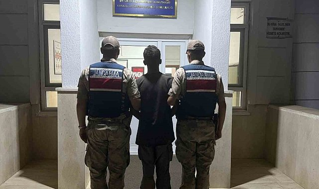 Şanlıurfa'da jandarmadan göçmen kaçakçılığı operasyonu: 20 gözaltı