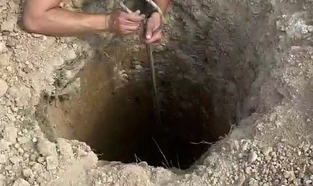 Şantiyedeki kuyuya düşen köpeği itfaiye kurtardı