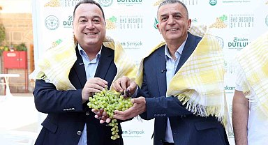 Şehzadeler'de 4 gün sürecek bağ bozumu coşkusu başlıyor