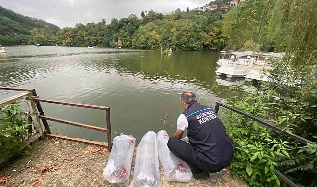 Sera Gölü'ne 40 bin sazan yavrusu bırakıldı