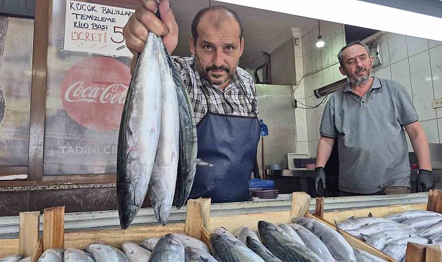 Sezonun gözdesi palamut ve hamsi tezgahları şenlendirdi