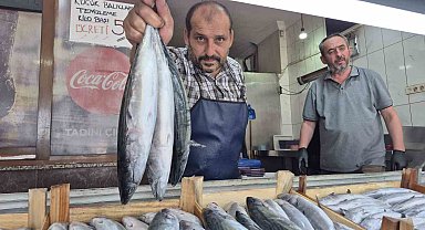 Sezonun gözdesi palamut ve hamsi tezgahları şenlendirdi