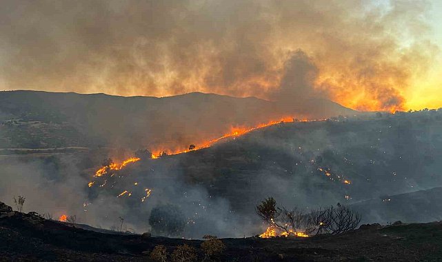 Siirt'te korkutan yangın: Alevler yerleşim yerine ilerliyor