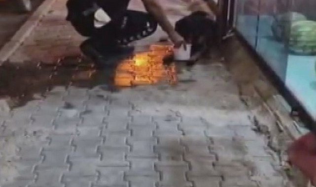 Silahla vurulan sokak köpeğine polis ekipleri sahip çıktı