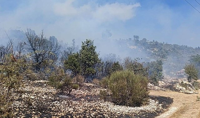 Silifke'deki yangın evlere ulaşmadan kontrol altına alındı