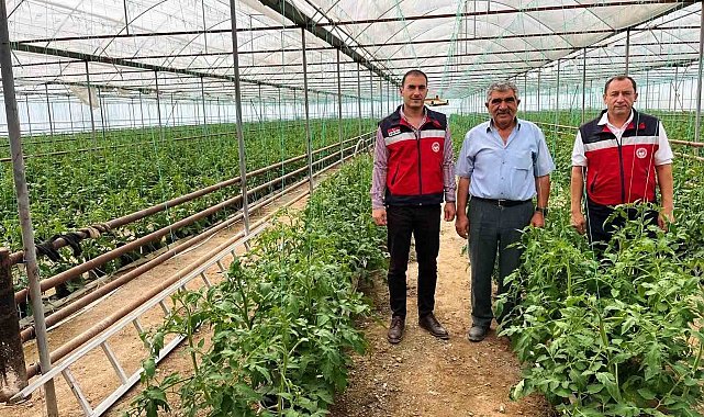 Simav'da seracılık faaliyetleri yerinde incelendi