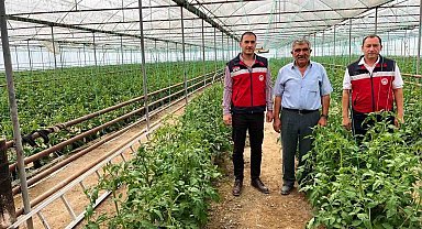 Simav'da seracılık faaliyetleri yerinde incelendi