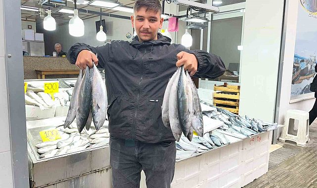Sinop'ta palamut 50 lira