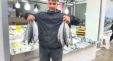 Sinop'ta palamut 50 lira