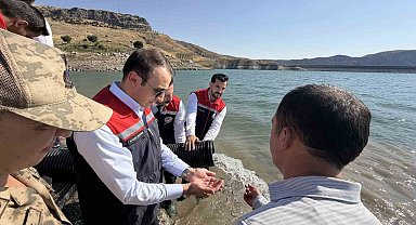 Şırnak'ta Ilısu Baraj Gölü'ne 800 bin yavru şabut balığı bırakıldı