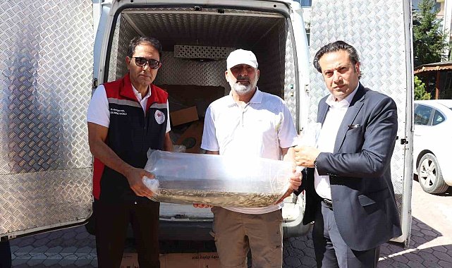 Sivas'ta yüzbinlerce yavru balık göl ve göletlere bırakıldı