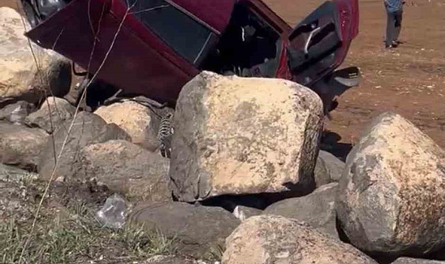 Siverek'te lastiği patlayan otomobil şarampole devrildi: 1 yaralı