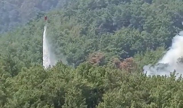 Soğutma çalışmalarının sürdüğü ormanlık alanda yeniden yangın çıktı