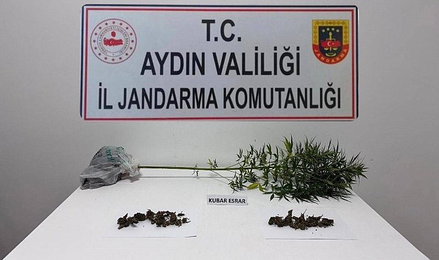 Söke'de narkotik köpeği destekli operasyonda uyuşturucu madde ele geçirildi